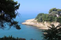 ����������� �� ����������. � ������� ����� ���� ����.