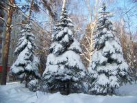 ����� ����� ����������� � ����� ����� � ����������!!!!