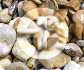 ������������ ��������