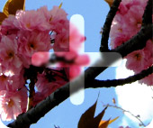 ��������� ���� � ����