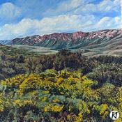 ����������� 074 ����� ���