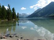 ����������� �����. �����.