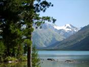 ������������ ����������� �����. �����.