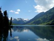 ����������� �����. �����.