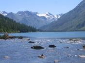 ����������� �����. �����.