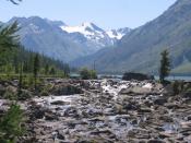 ����������� �����. �����.