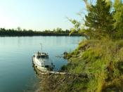 ������������ ������� 45 �� ����� �� ���