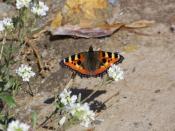 �������