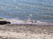 ����  � ������